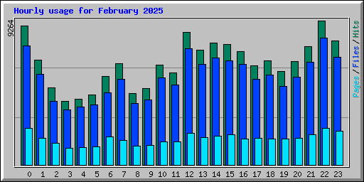 Hourly usage for February 2025